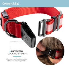 🔴 LED Dog Collar – Rechargeable Light-Up Collar for Night Safety (Red)