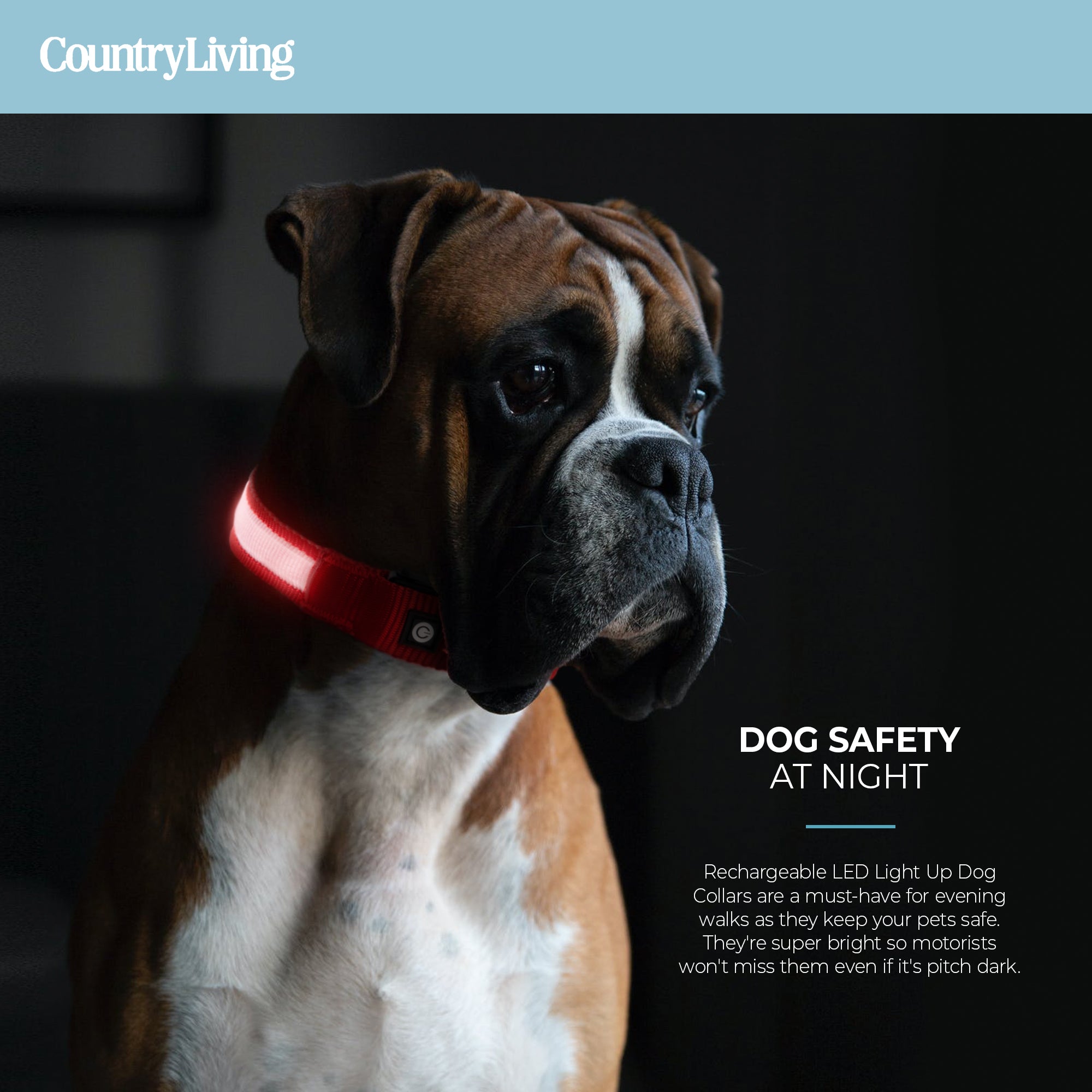 🔴 LED Dog Collar – Rechargeable Light-Up Collar for Night Safety (Red)