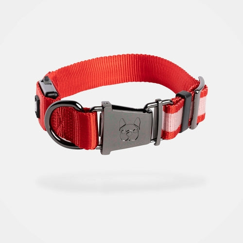 🔴 LED Dog Collar – Rechargeable Light-Up Collar for Night Safety (Red)